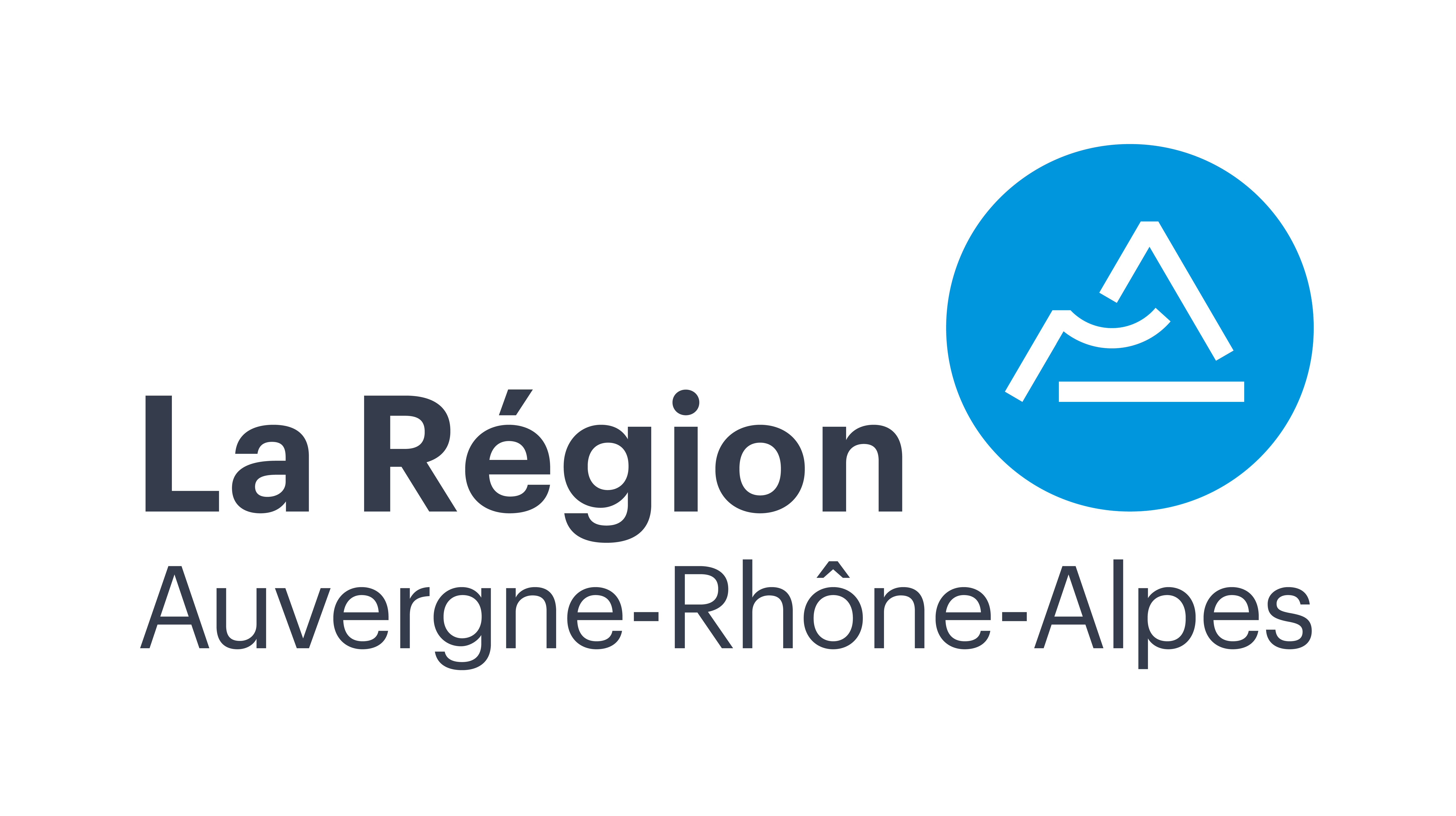 Logo RegionARA Partenaire typo gris pastille bleu